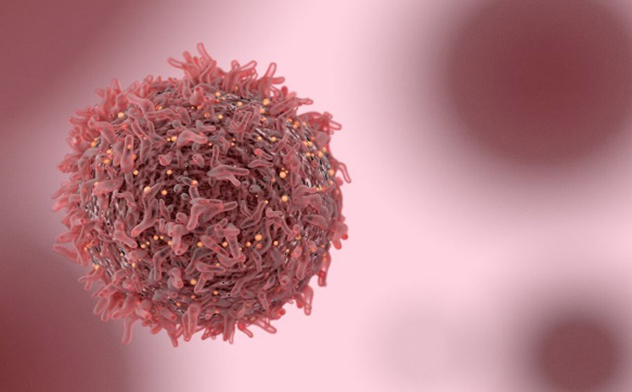استفاده از سلول‌های چربی برای دارورسانی به تومور