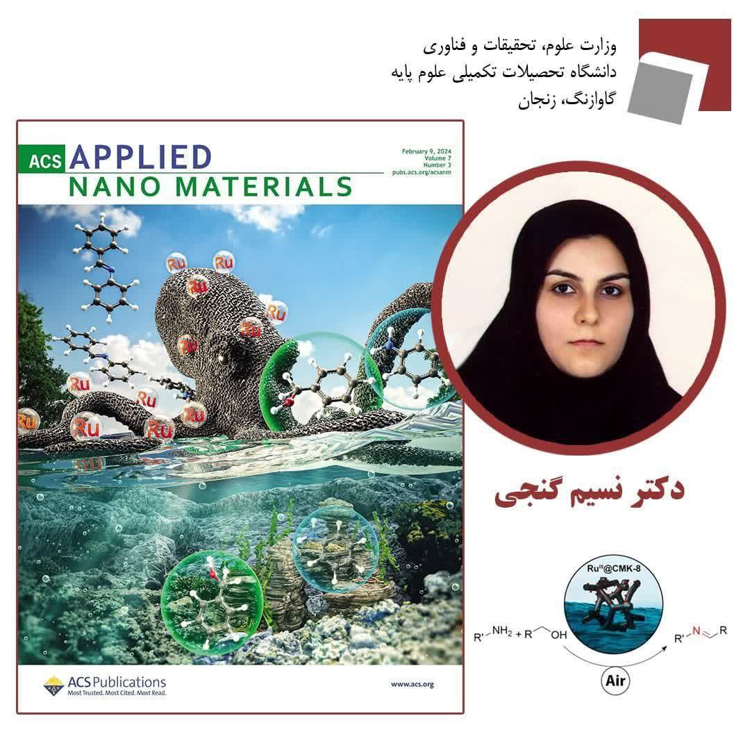 مقاله پژوهشی دکتر نسیم گنجی، طرح روی جلد مجله معتبر ACS Applied Nano Materials