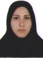مینا یوسـف زاده عادلی
