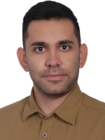 سینا محمودی نژادی