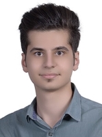 سید محمدرضا مرتضوی