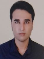 بهمن بردی