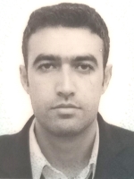 امیر حاجی حسینلو