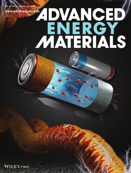 اختصاص طرح روی جلد ژورنال Advanced Energy Materials به مقاله گروه تحقیقاتی جناب آقای دکتر میرفضل الله موسوی