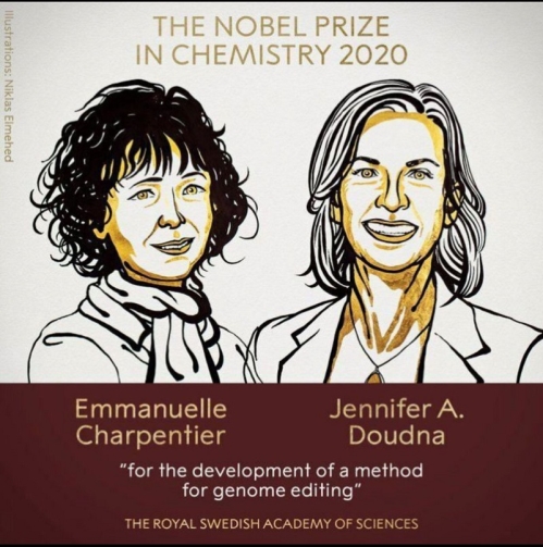 برندگان جایزه نوبل شیمی  ۲۰۲۰ اعلام شدند، خانم ها امانوئل شارپنتیر و جنفیر دوندا